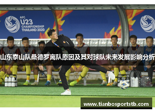 山东泰山队桑德罗离队原因及其对球队未来发展影响分析
