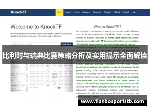 比利时与瑞典比赛策略分析及实用提示全面解读
