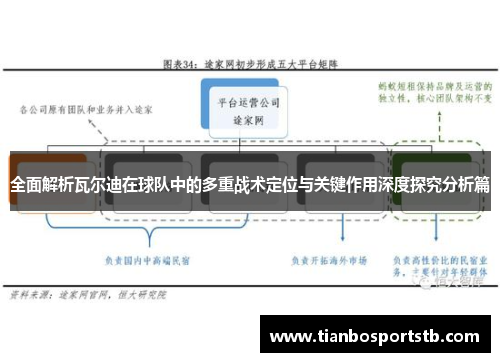 全面解析瓦尔迪在球队中的多重战术定位与关键作用深度探究分析篇